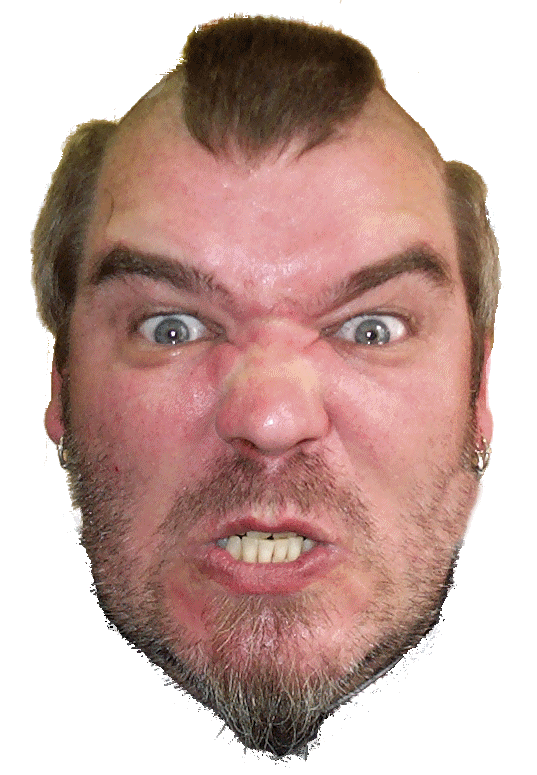 Try clicking the eyes, ears, mouth and nose